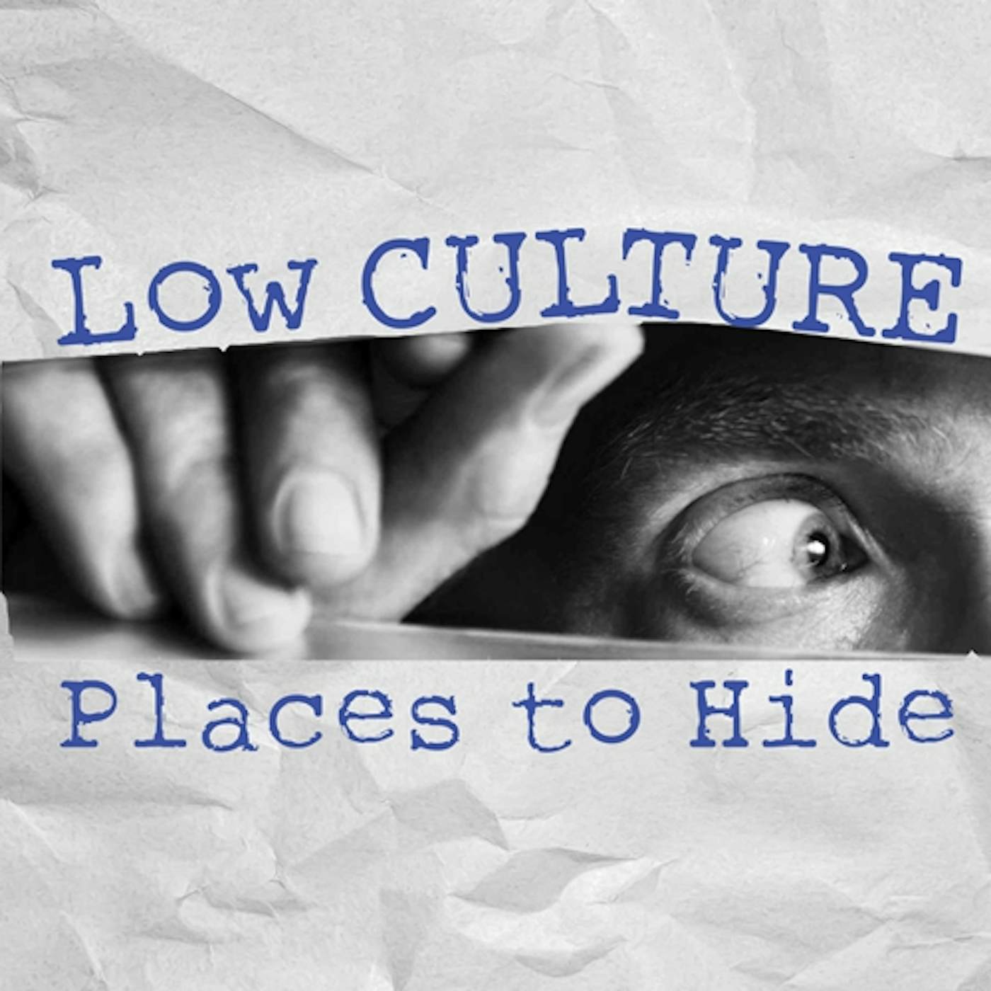 The Low Culture Places to Hide Vinyl Record