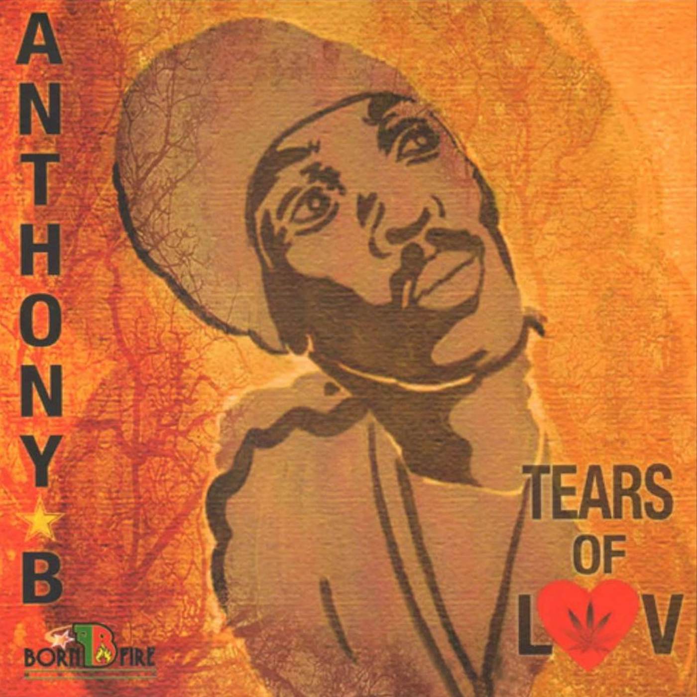 Anthony B TEARS OF LUV CD