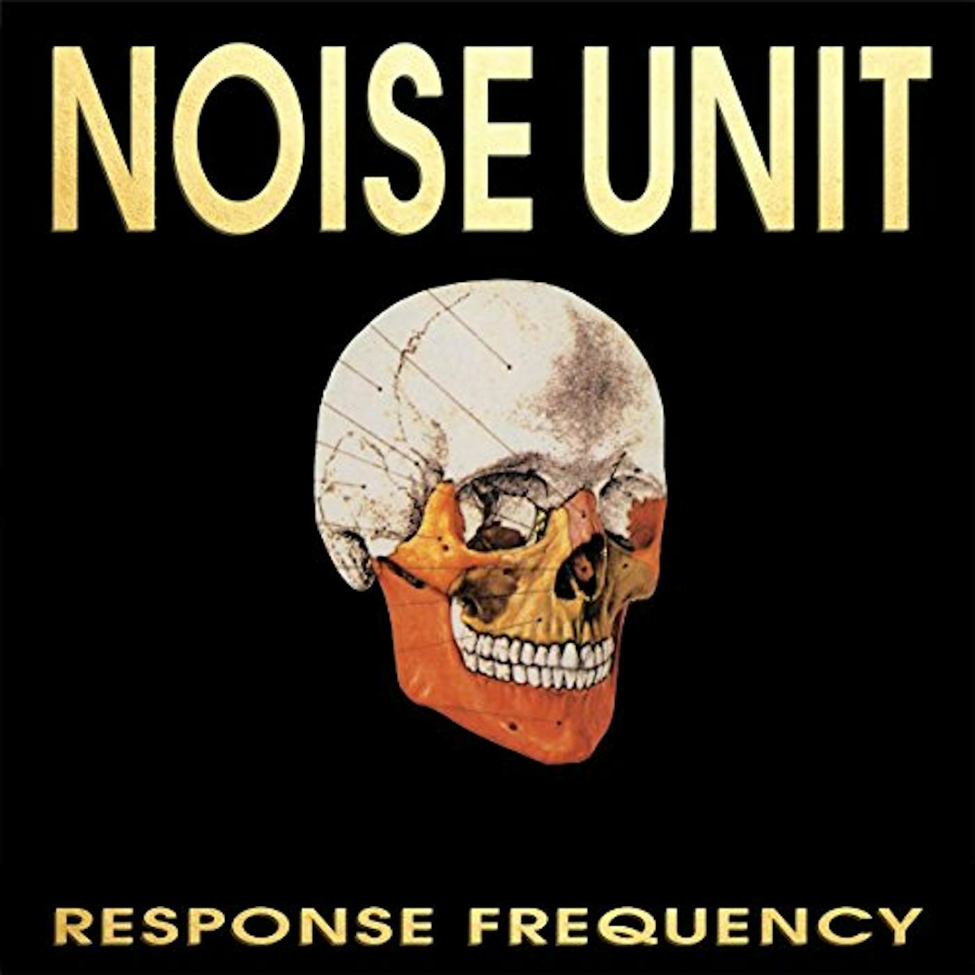 Noise Unit Response Frequency Vinyl Record