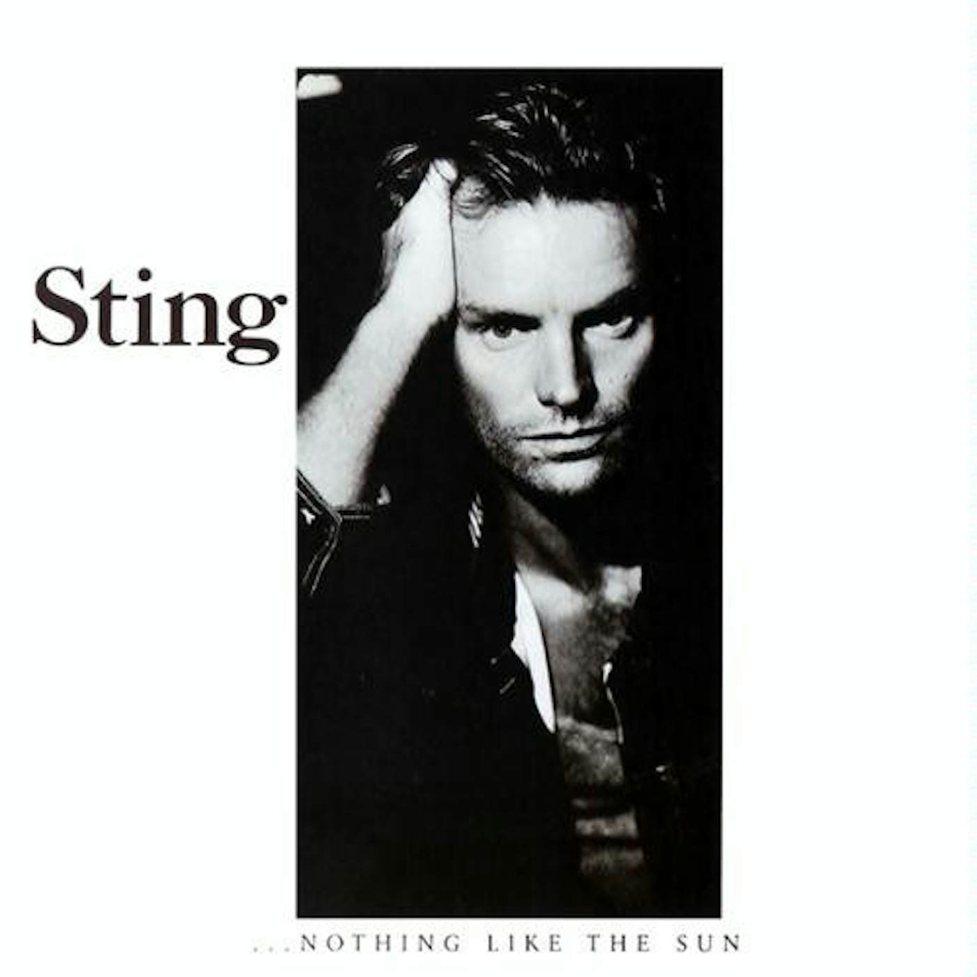 Sting Nothing Like The Sun Vinyl Record