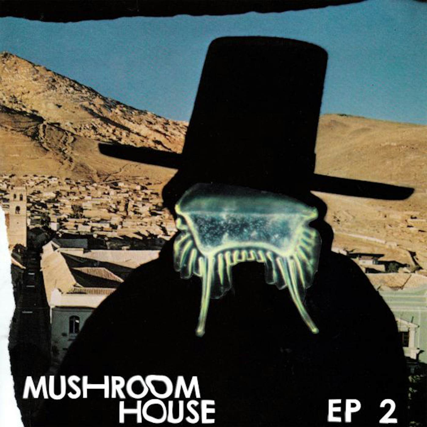 MUSHROOM HOUSE 2 / VARIOUS Vinyl Record
