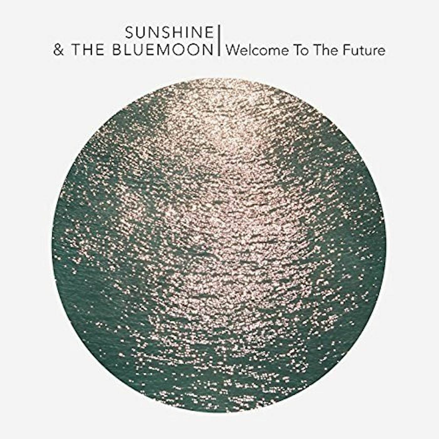 Sunshine & The Blue Moon Welcome To The Future Vinyl Record