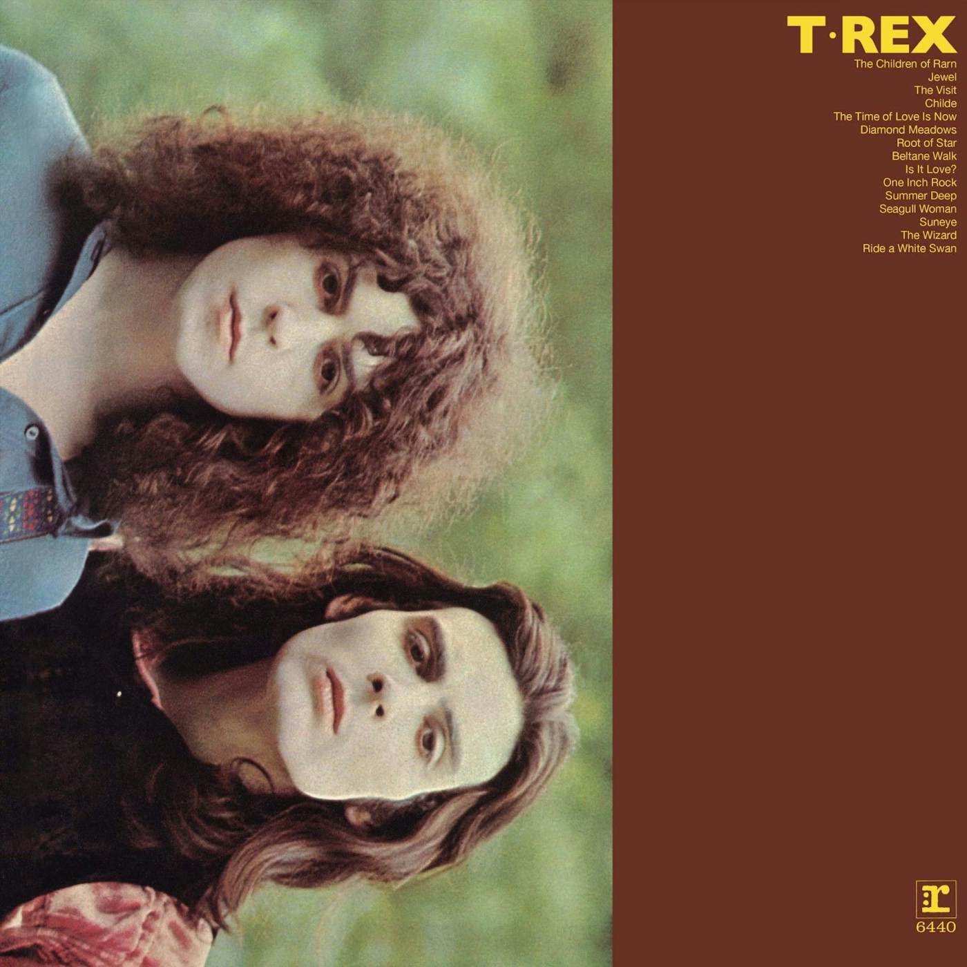 T. Rex Vinyl Record