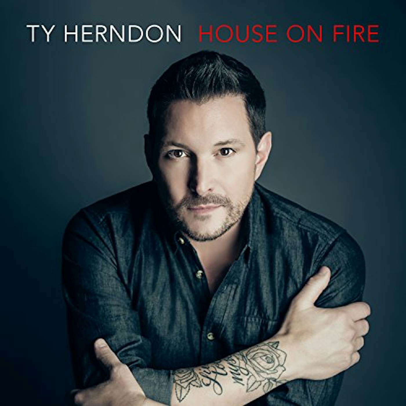 Ty Herndon HOUSE ON FIRE CD