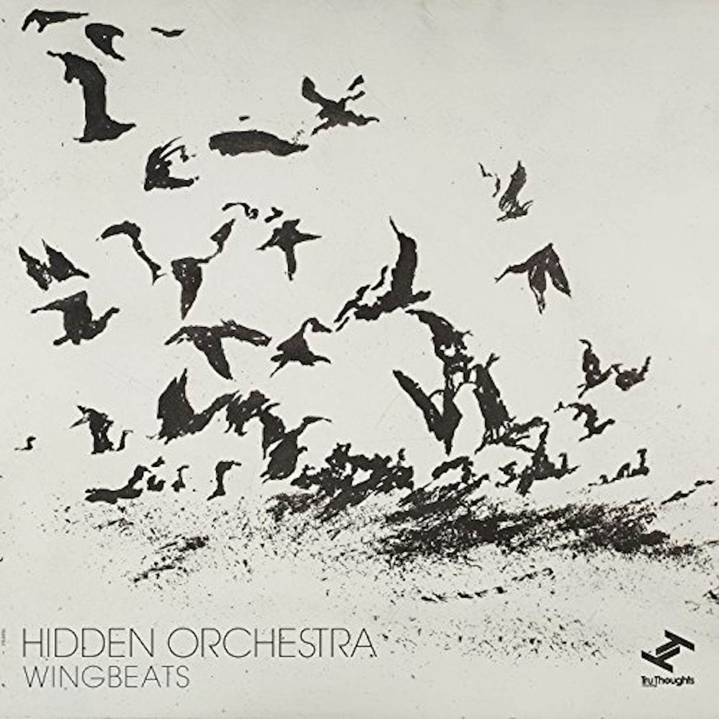 Hidden Orchestra Wingbeats Vinyl Record