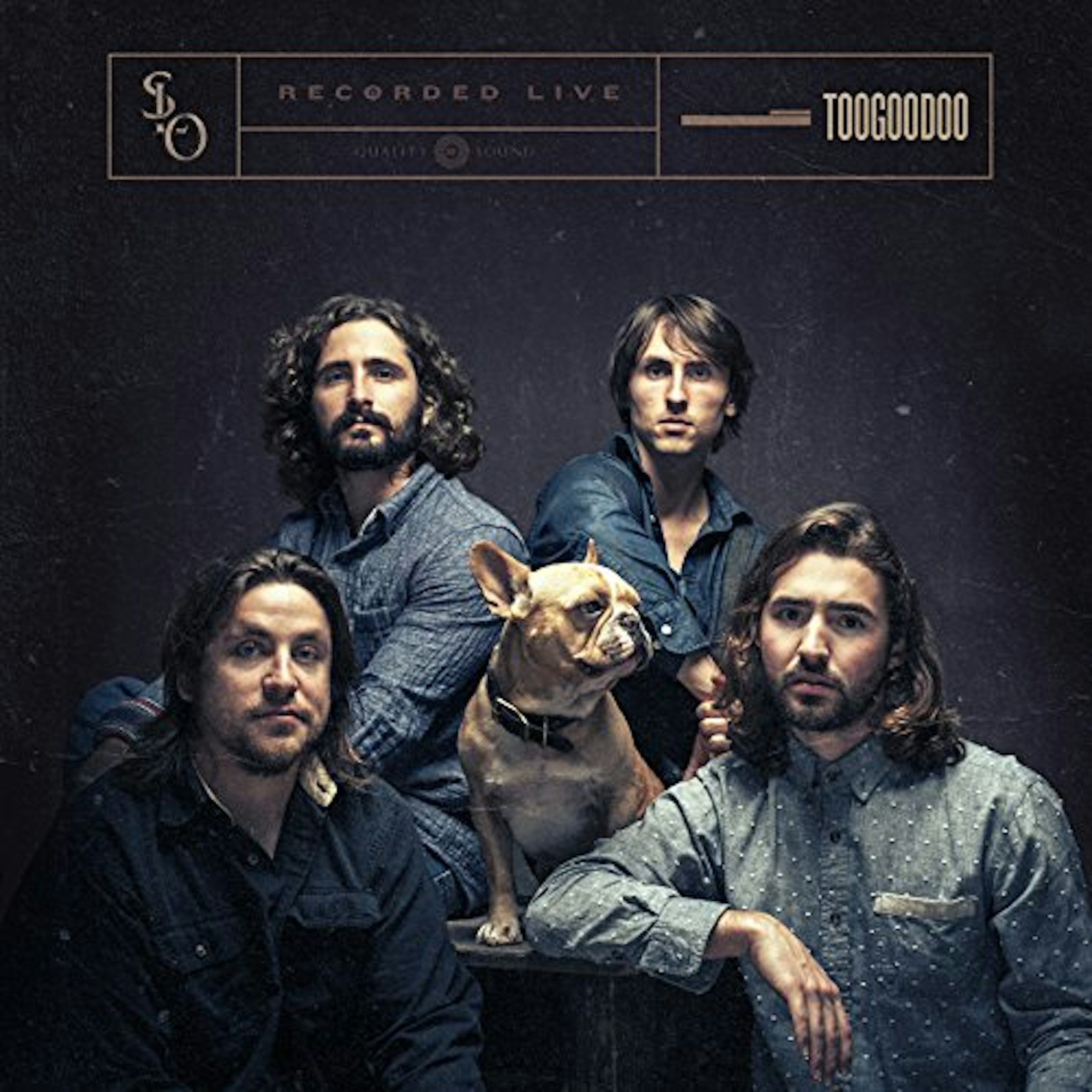 Stop Light Observations TOOGOODOO Vinyl Record