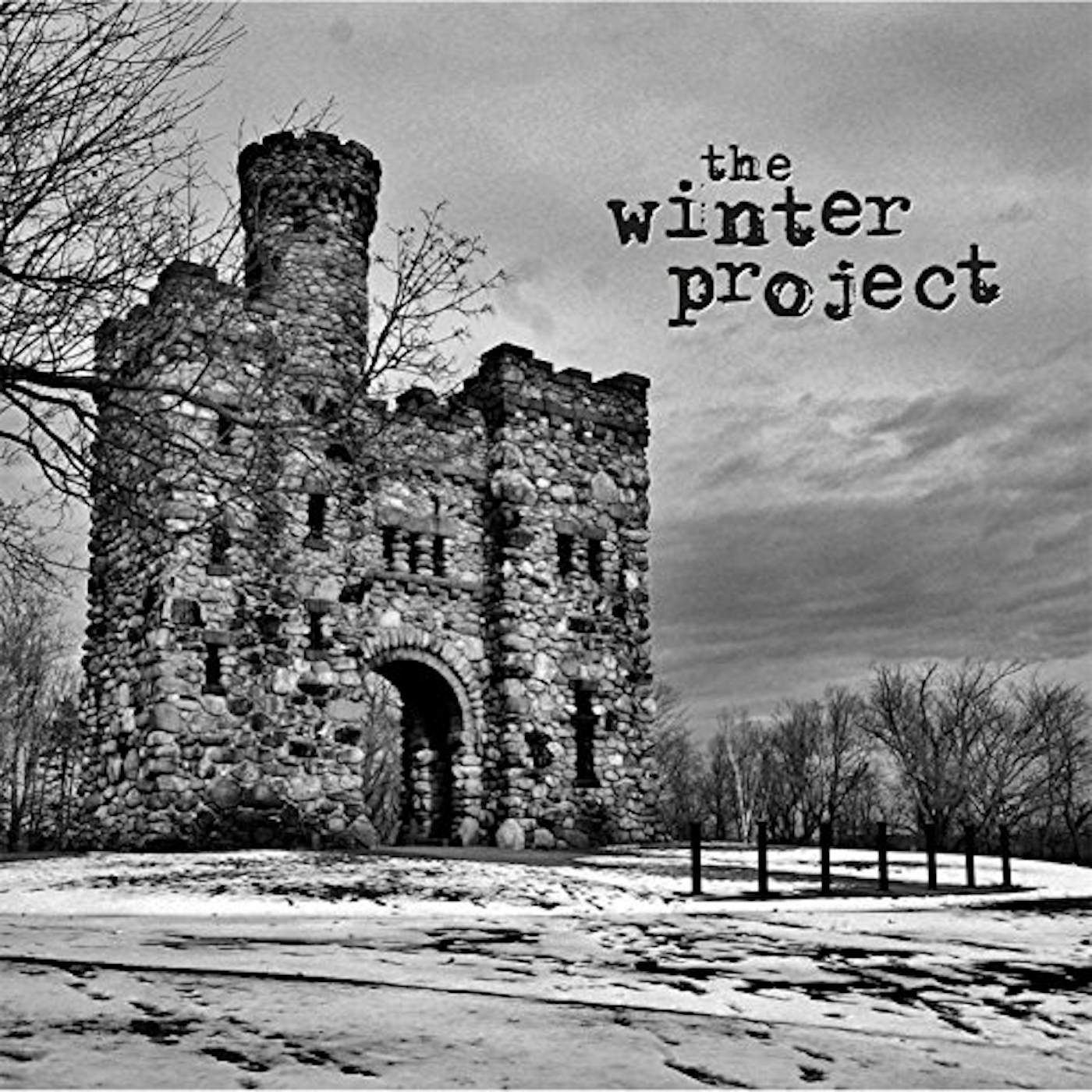 The Winter Project Vinyl Record
