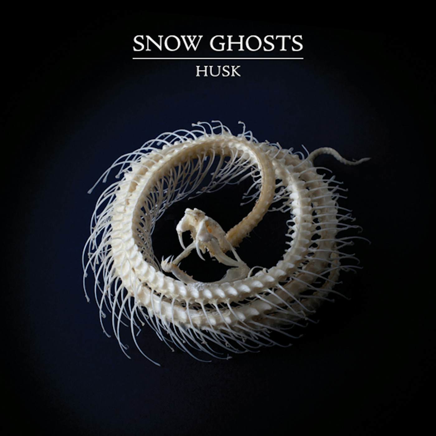 Snow Ghosts Husk Vinyl Record