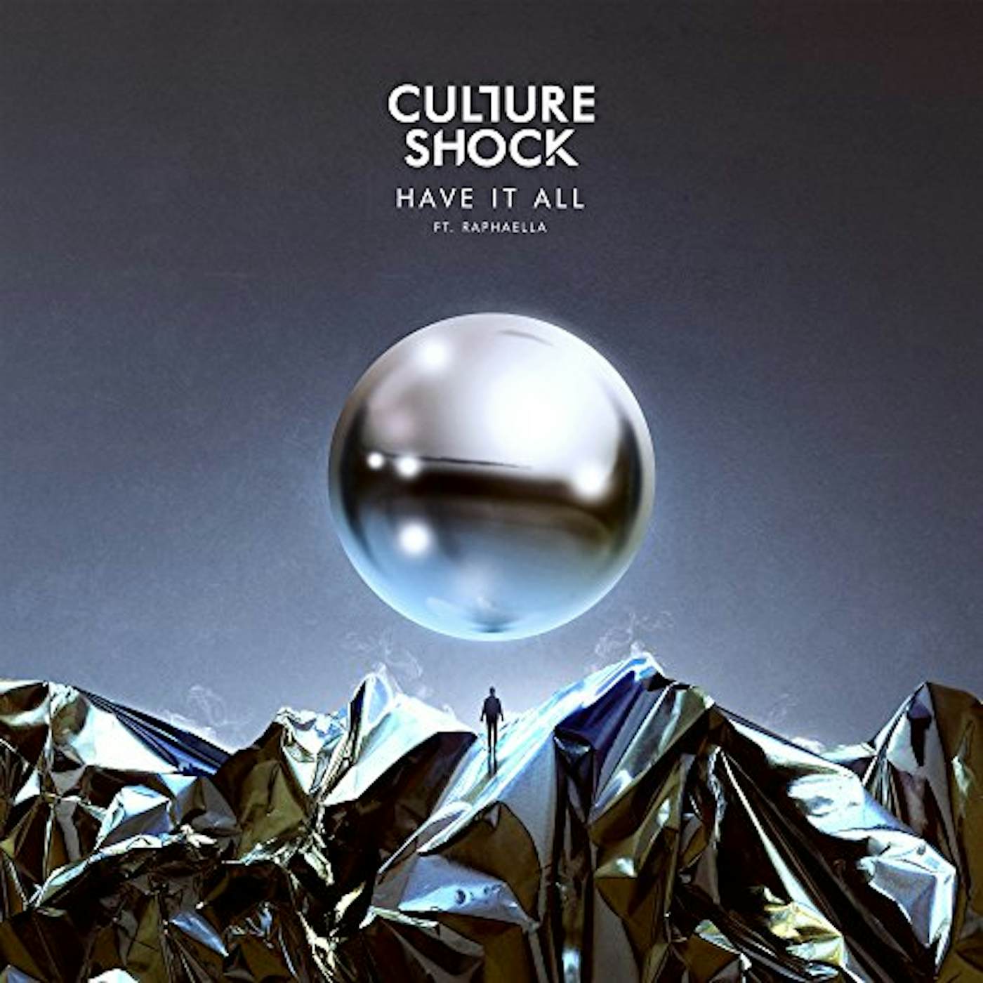 Culture Shock Have It All / Pandemic Vinyl Record