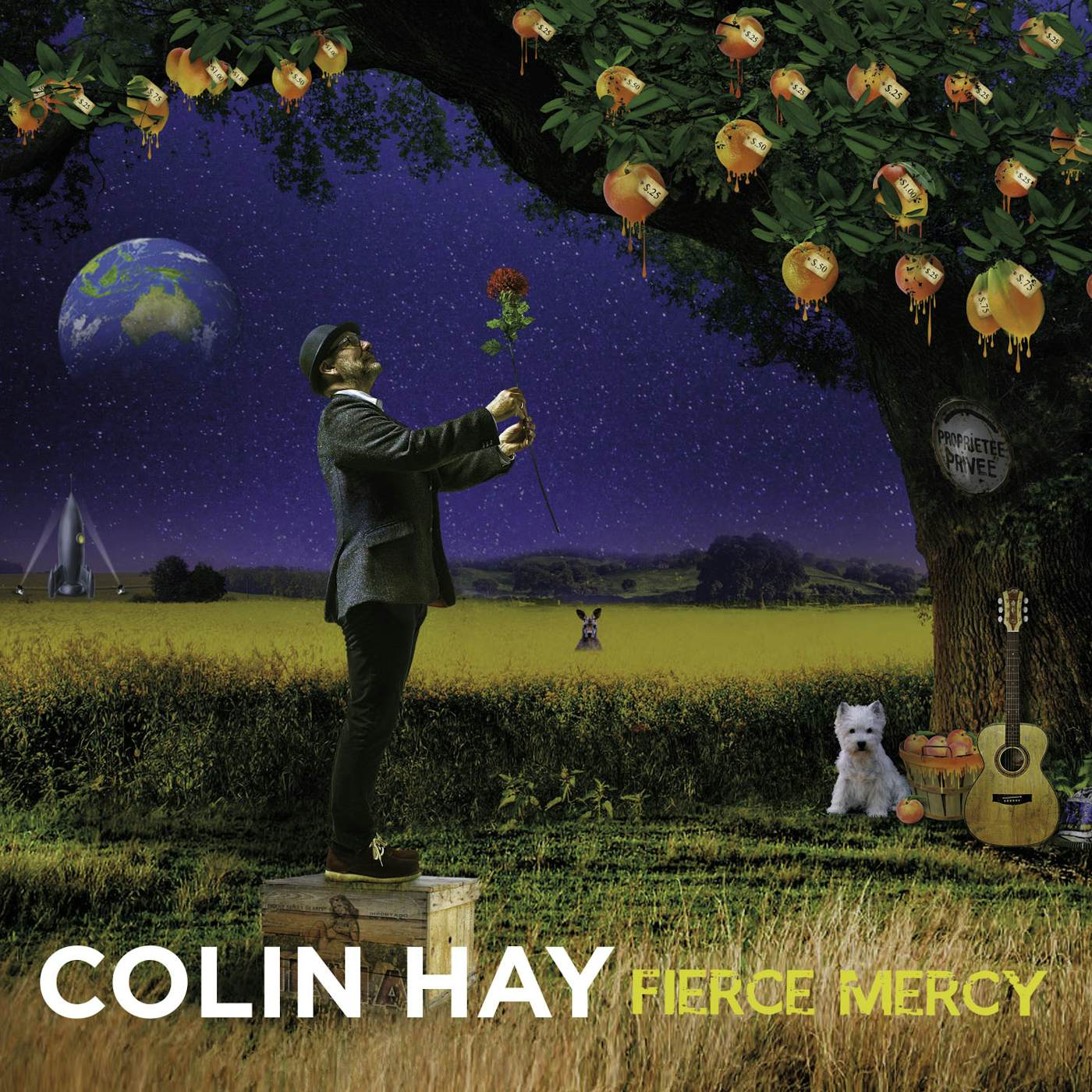 Colin Hay FIERCE MERCY CD
