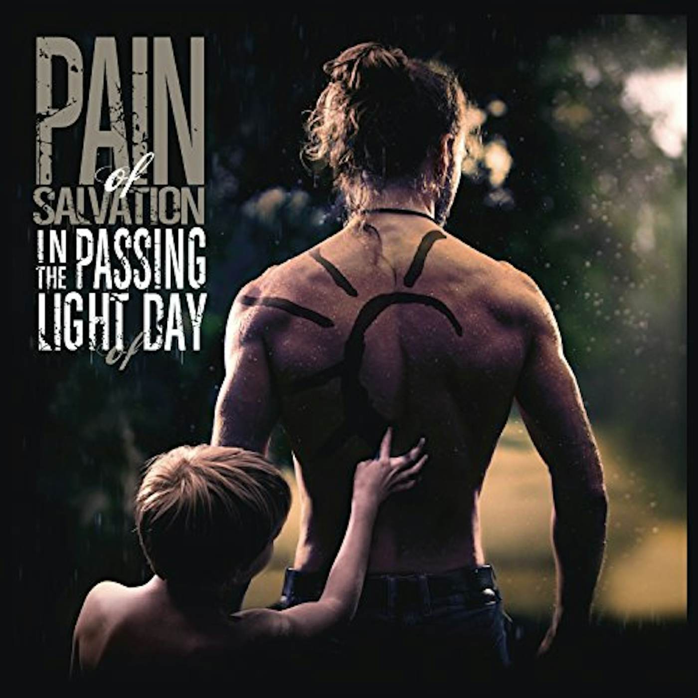 Pain of Salvation In The Passing Light Of Day Vinyl Record