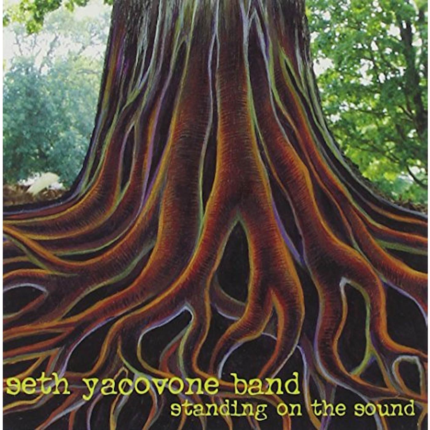 Seth Yacovone Band STANDING ON THE SOUND CD