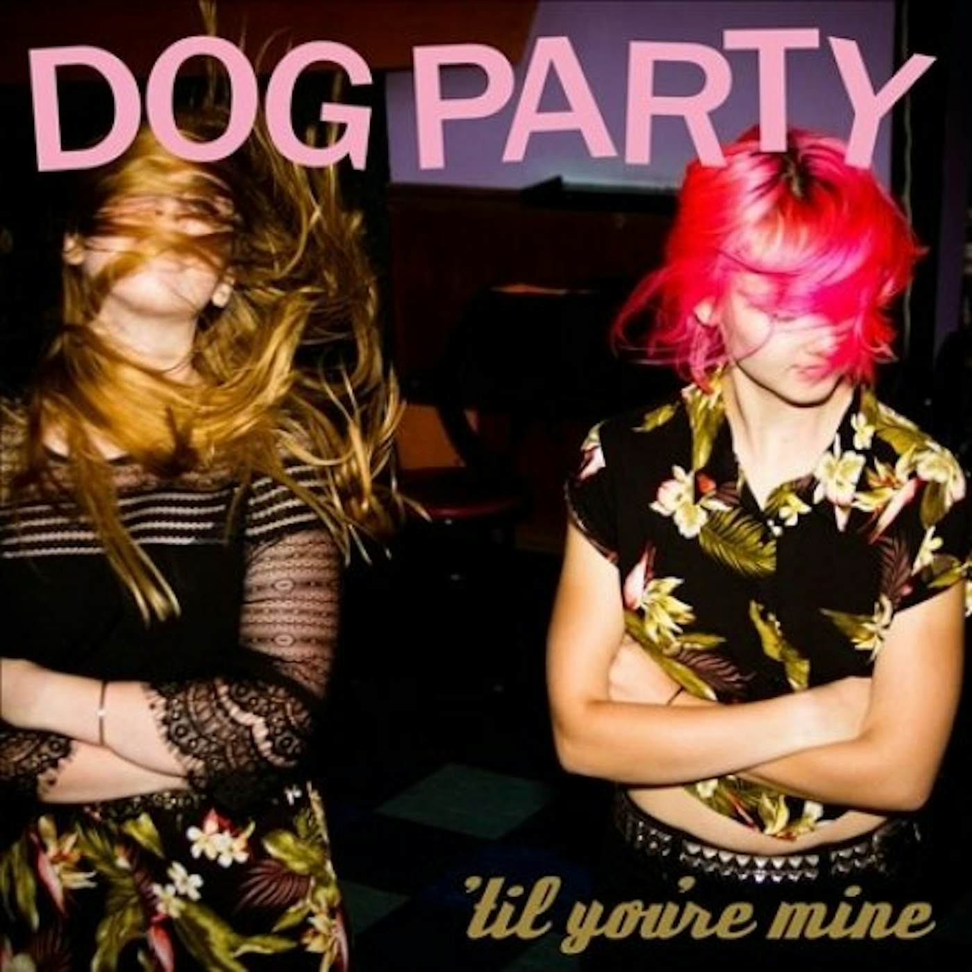 Dog Party TIL YOU'RE MINE CD