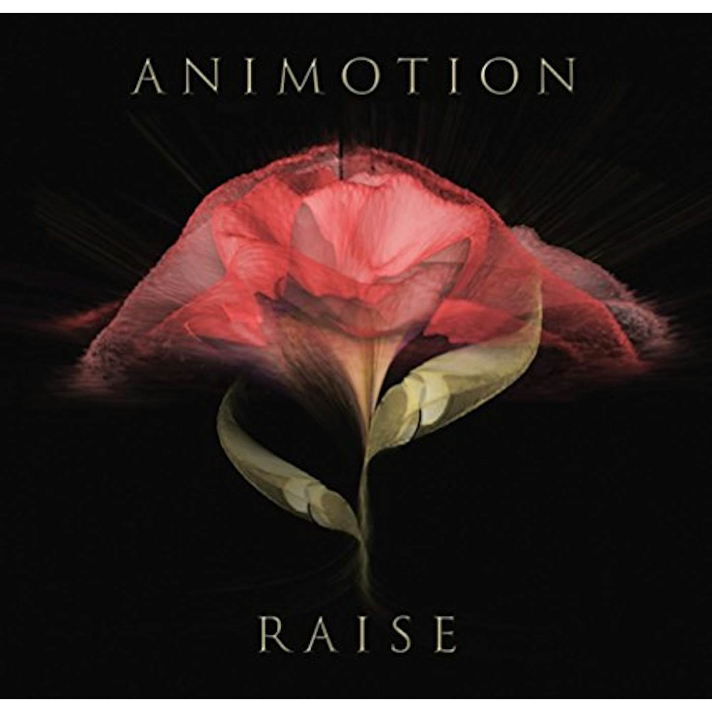 Animotion RAISE YOUR EXPECTATIONS CD