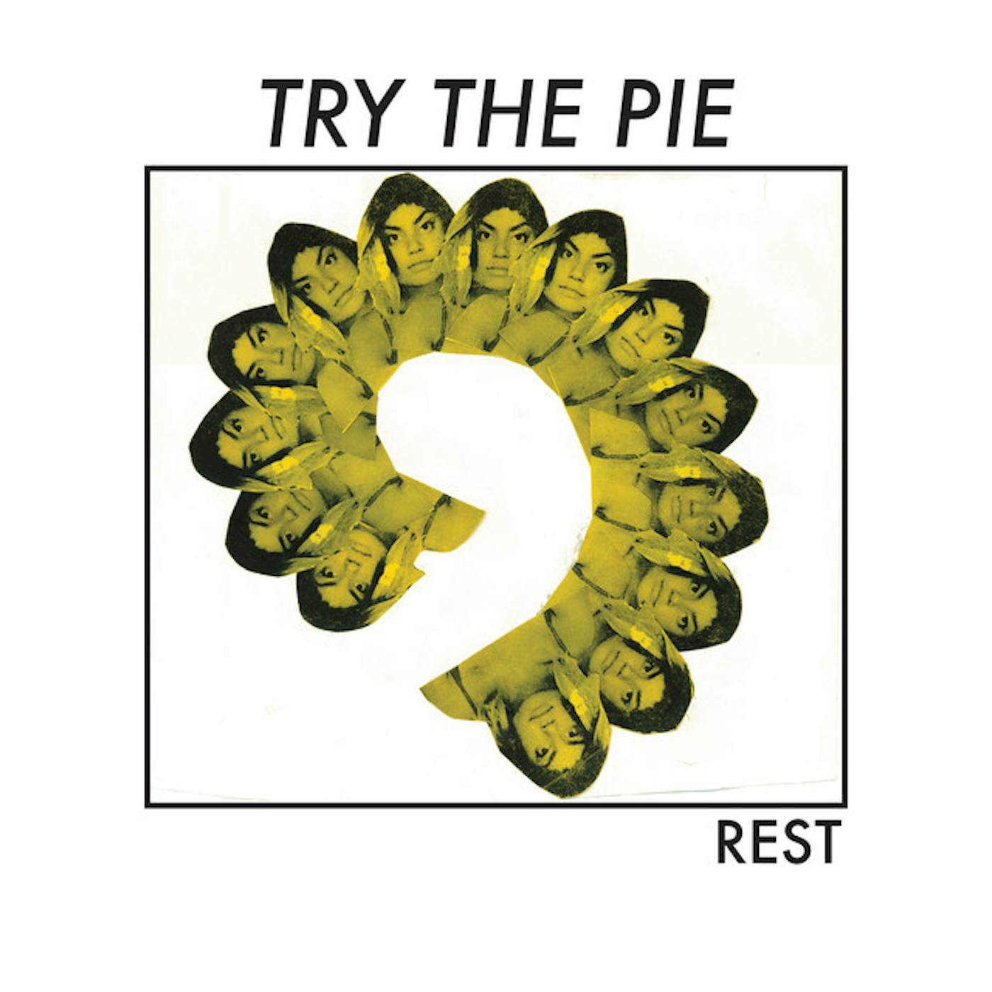 Try the Pie Rest Vinyl Record