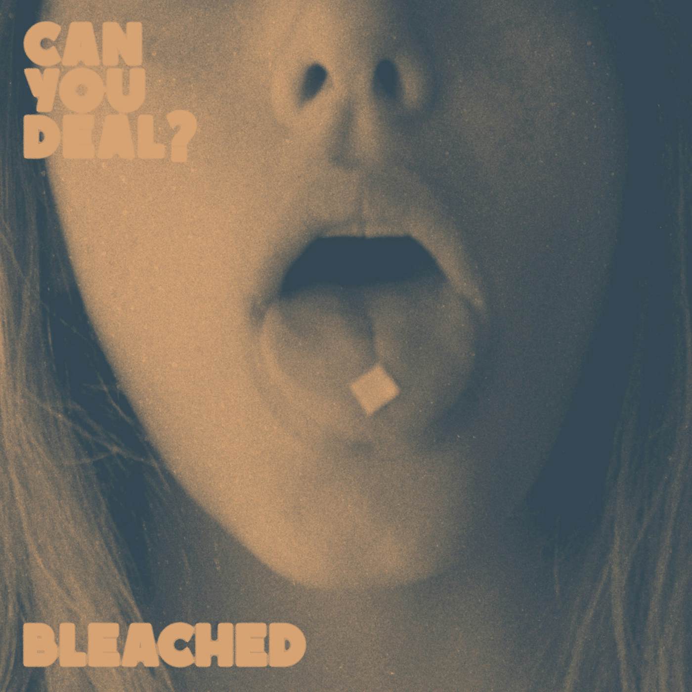 Bleached CAN YOU DEAL Vinyl Record