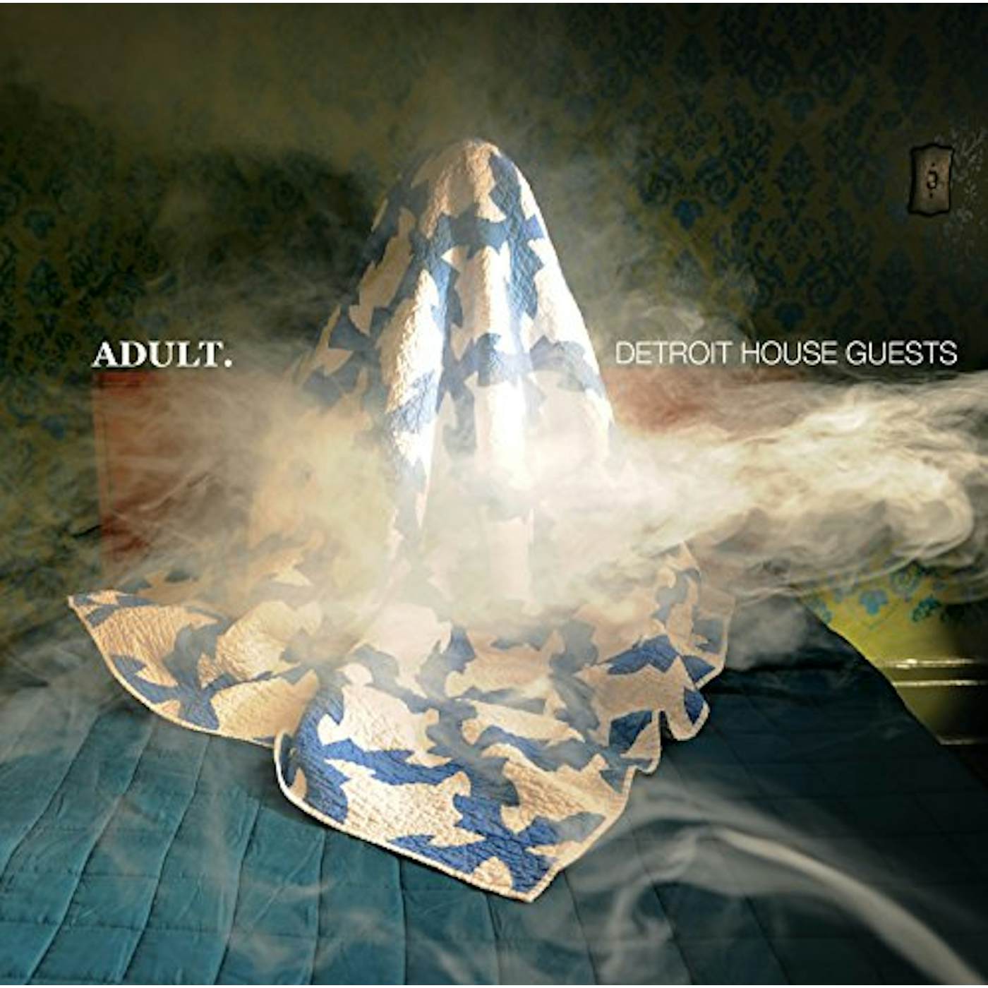 ADULT. Detroit House Guests Vinyl Record