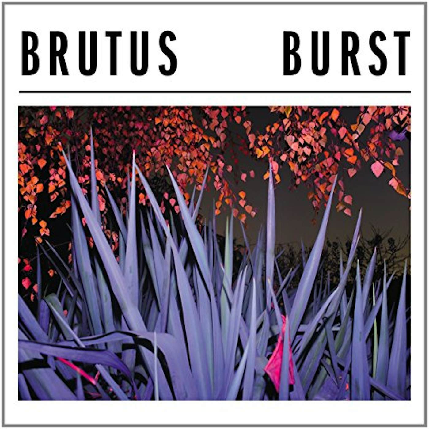 Brutus Burst Vinyl Record