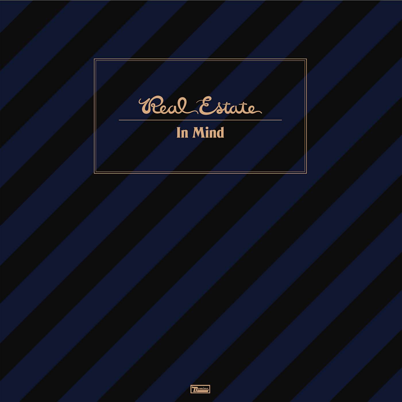 Real Estate In Mind Vinyl Record