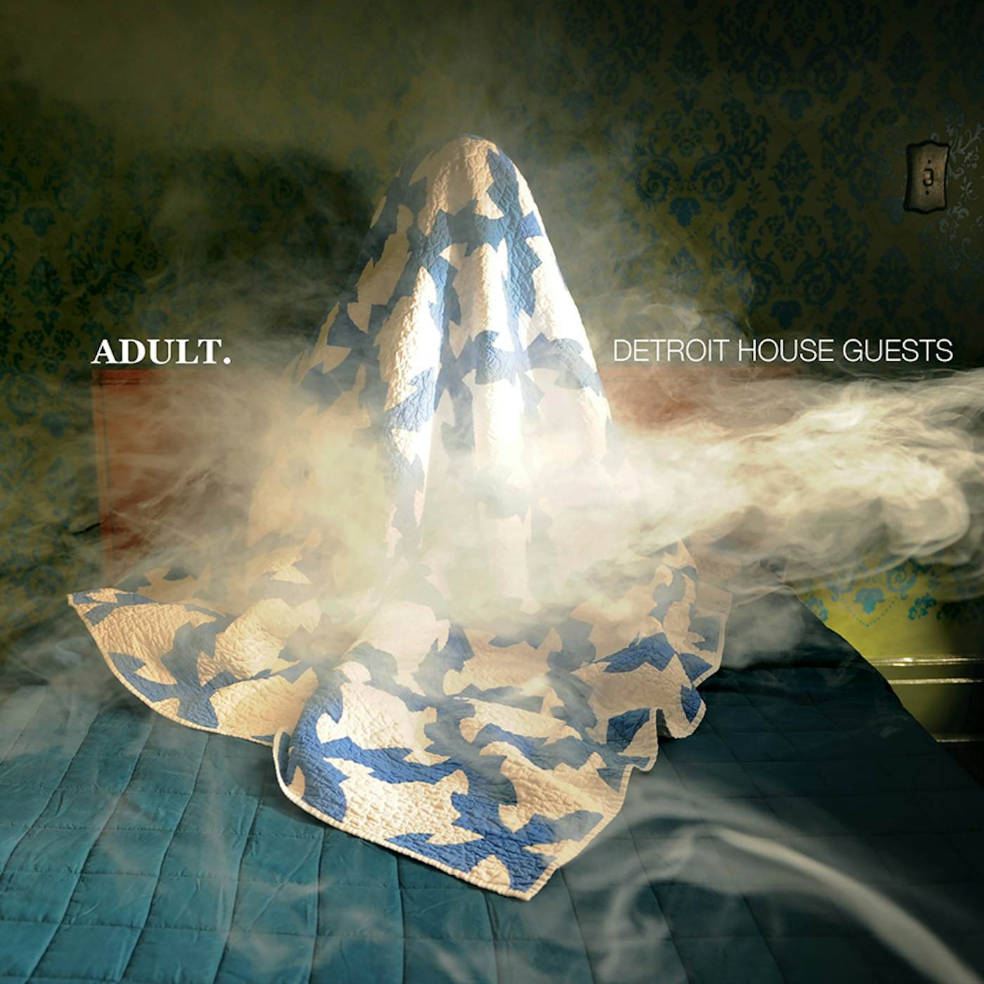 ADULT. DETROIT HOUSE GUESTS CD