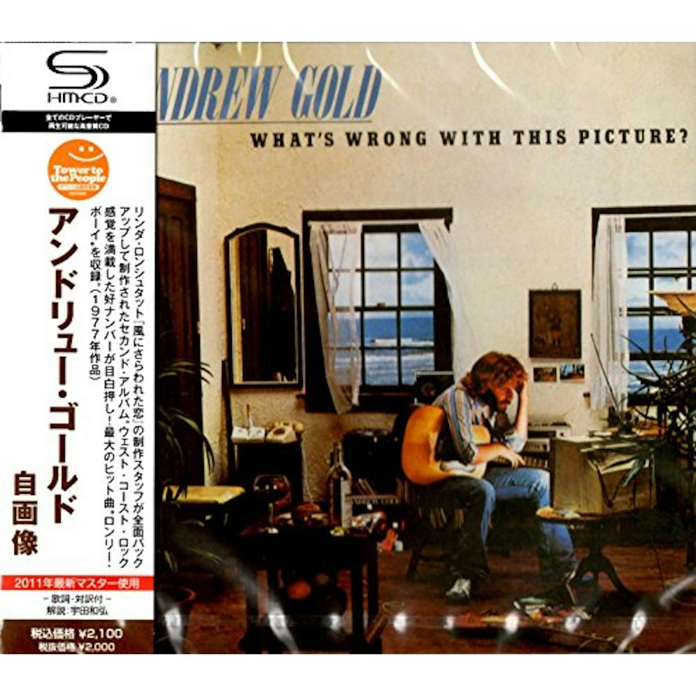 Andrew Gold WHAT'S WRONG WITH THIS PICTURE? CD