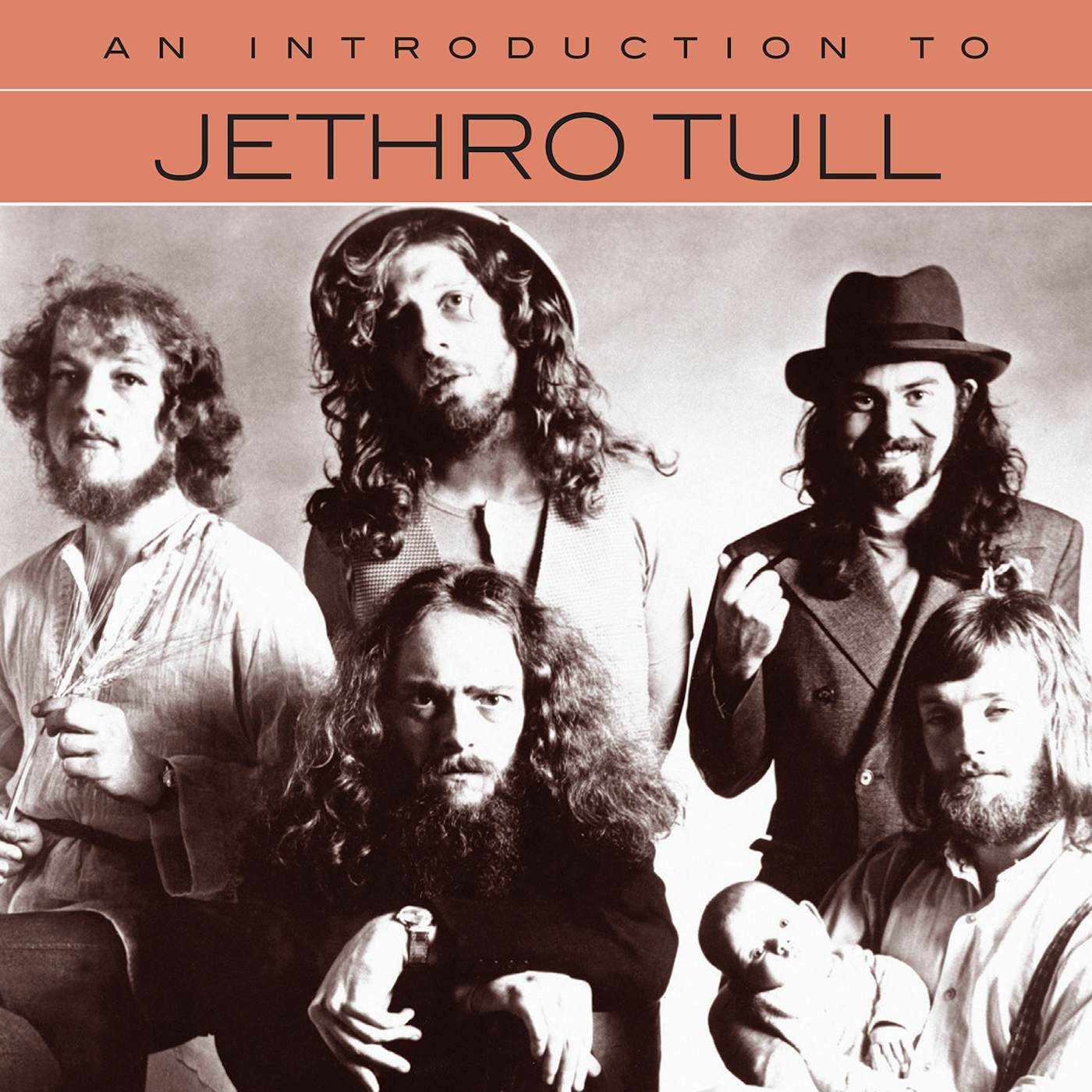 Jethro Tull AN INTRODUCTION TO CD