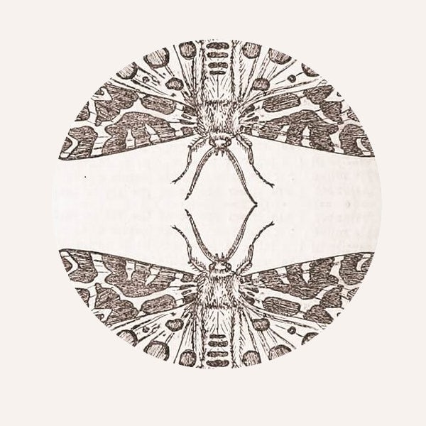 Jute Gyte Store Official Merch & Vinyl