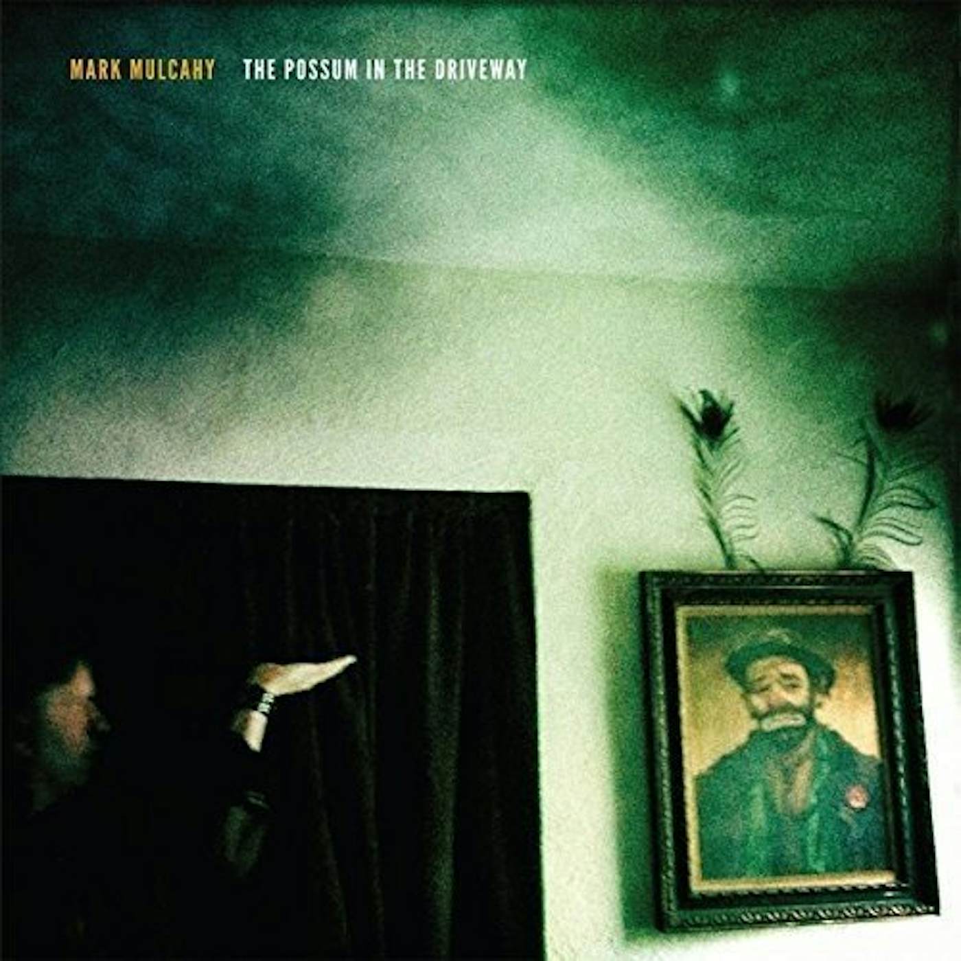 Mark Mulcahy POSSUM IN THE DRIVEWAY Vinyl Record