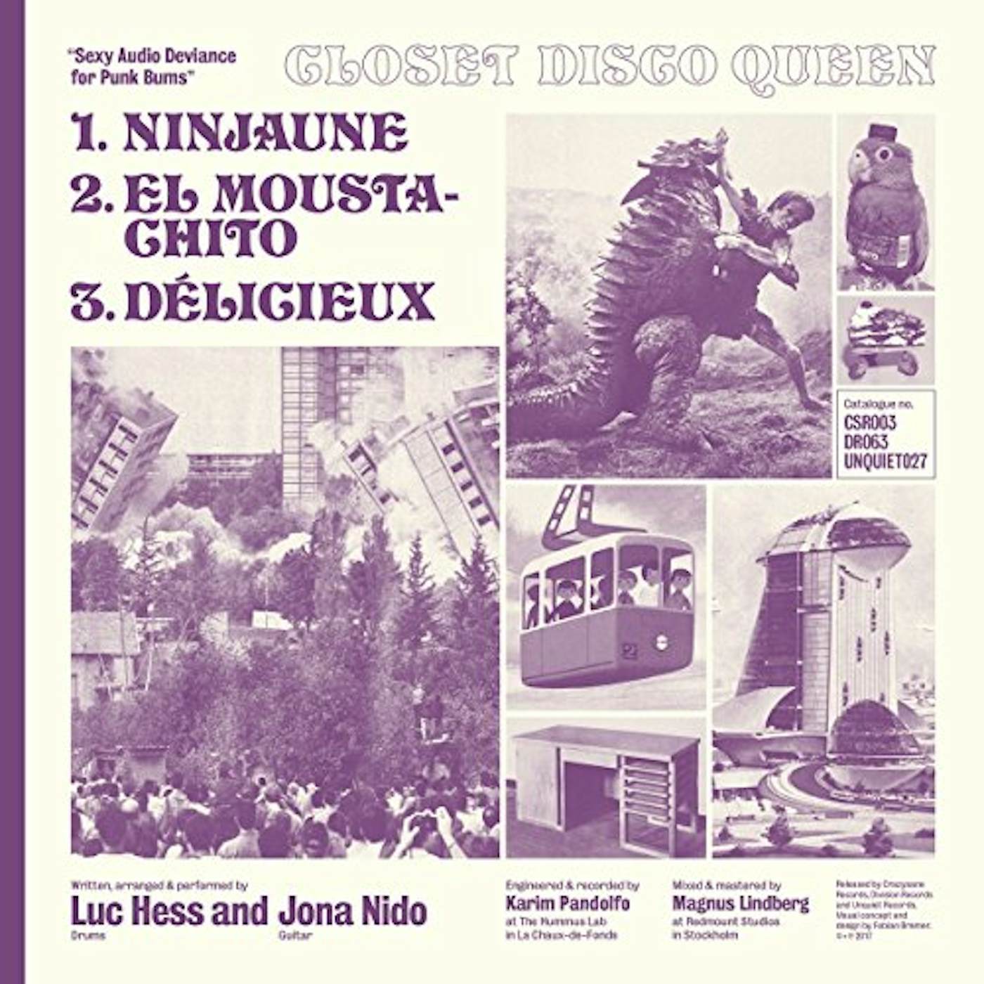 Closet Disco Queen Sexy Audio Deviance for Punk Bums Vinyl Record