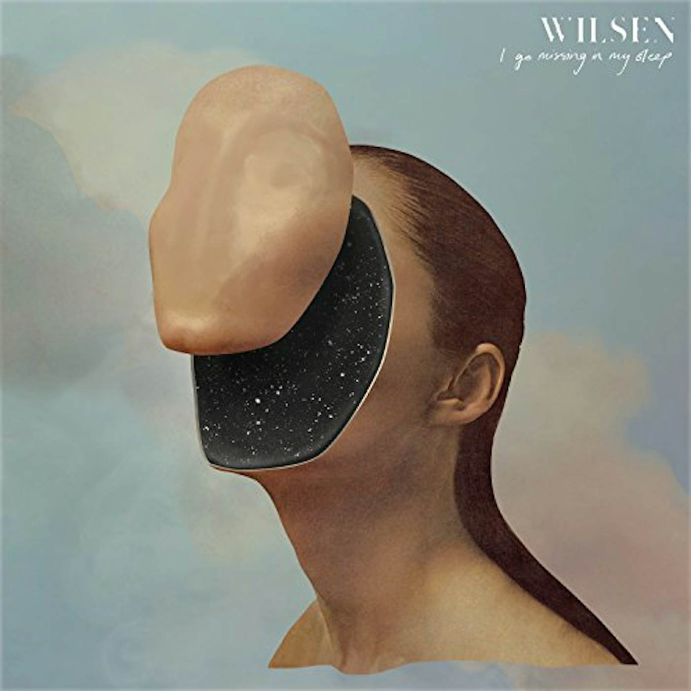 Wilsen I Go Missing in My Sleep Vinyl Record