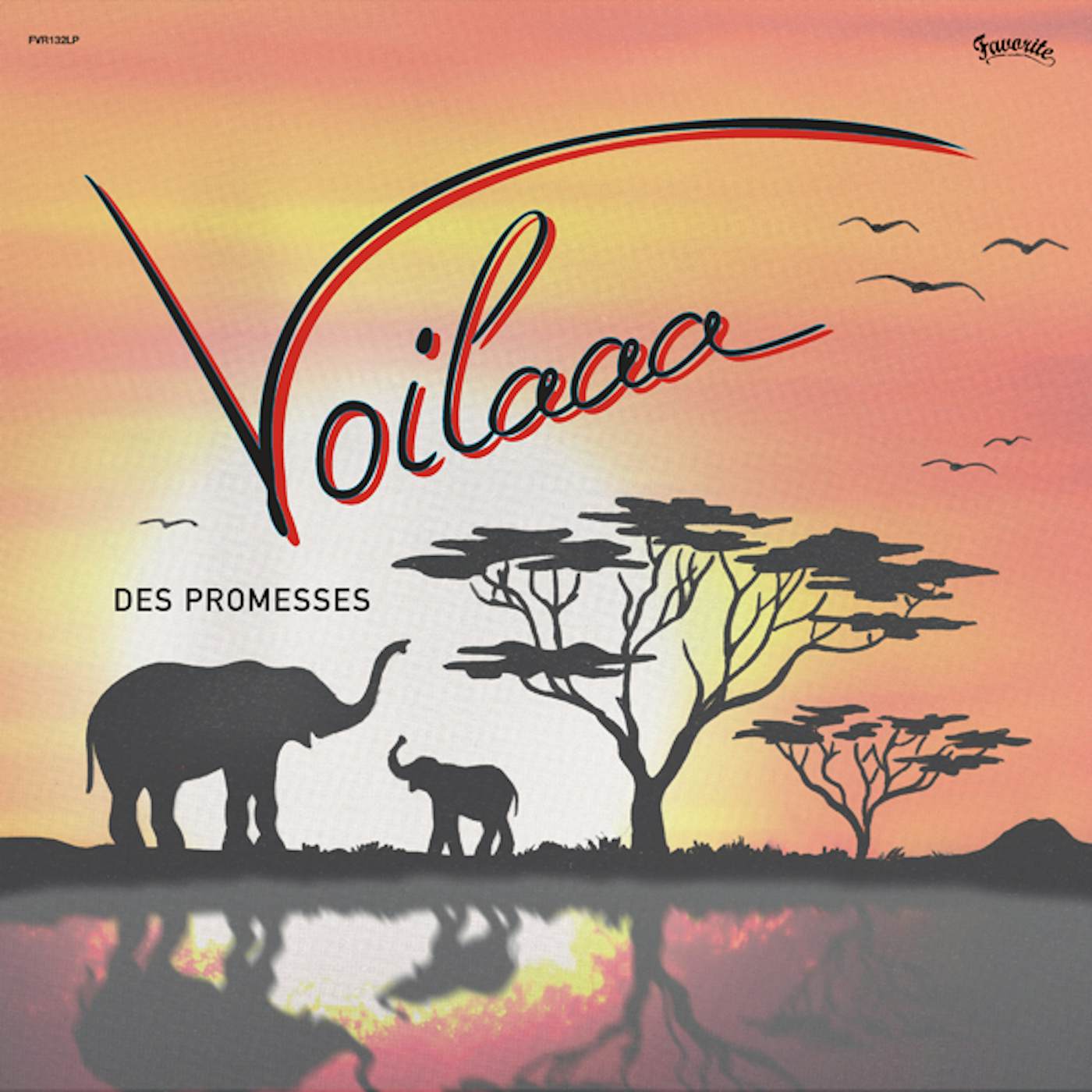 Voilaaa DES PROMESSES CD