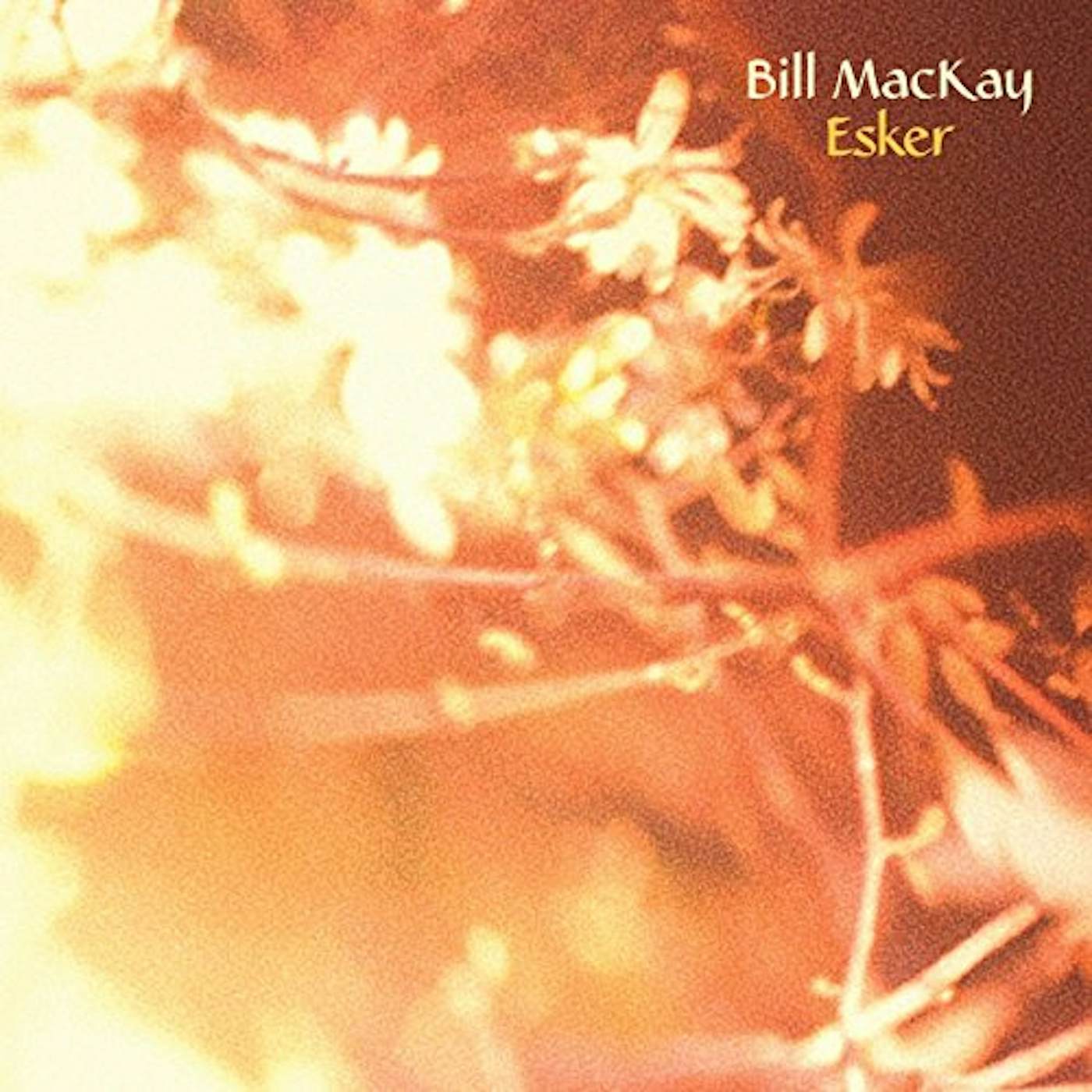 Bill MacKay Esker Vinyl Record
