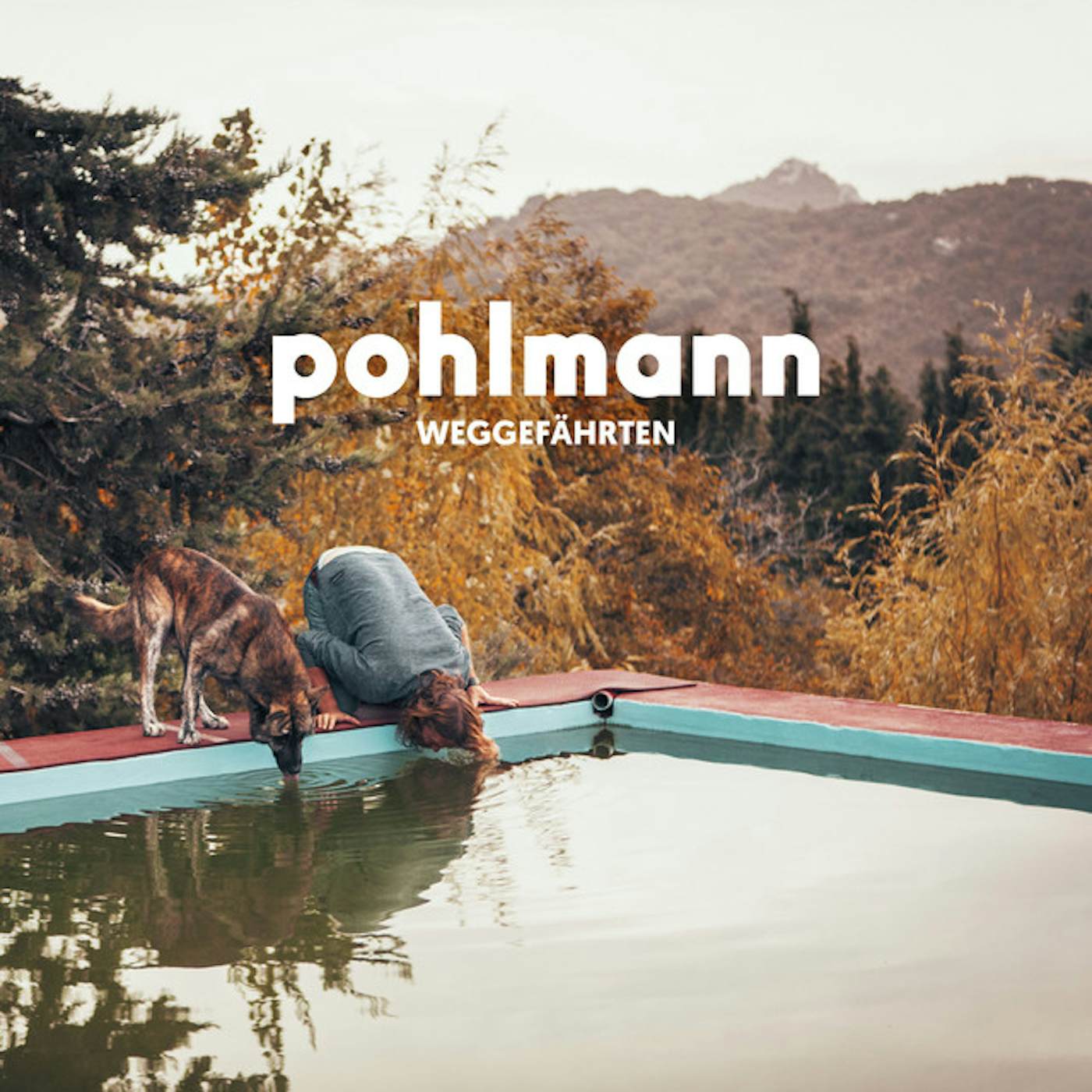 Pohlmann. WEGGEFAEHRTEN Vinyl Record