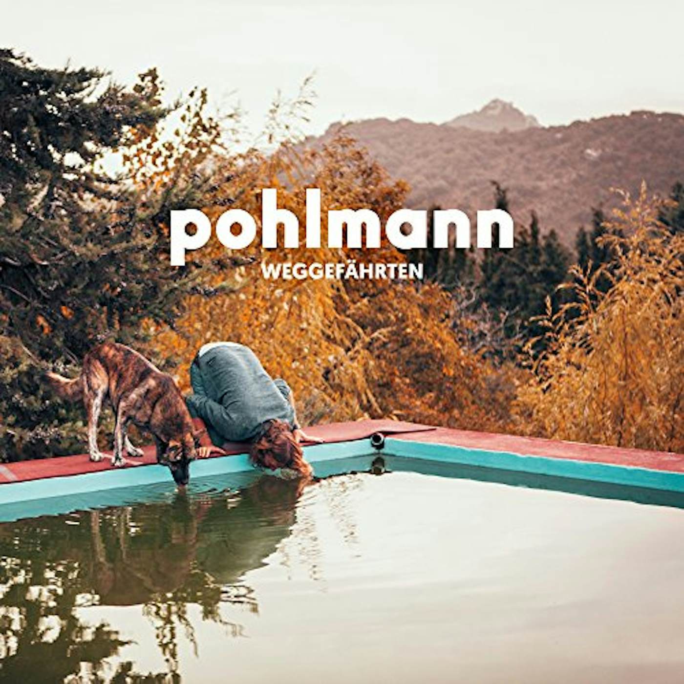 Pohlmann. WEGGEFAEHRTEN CD