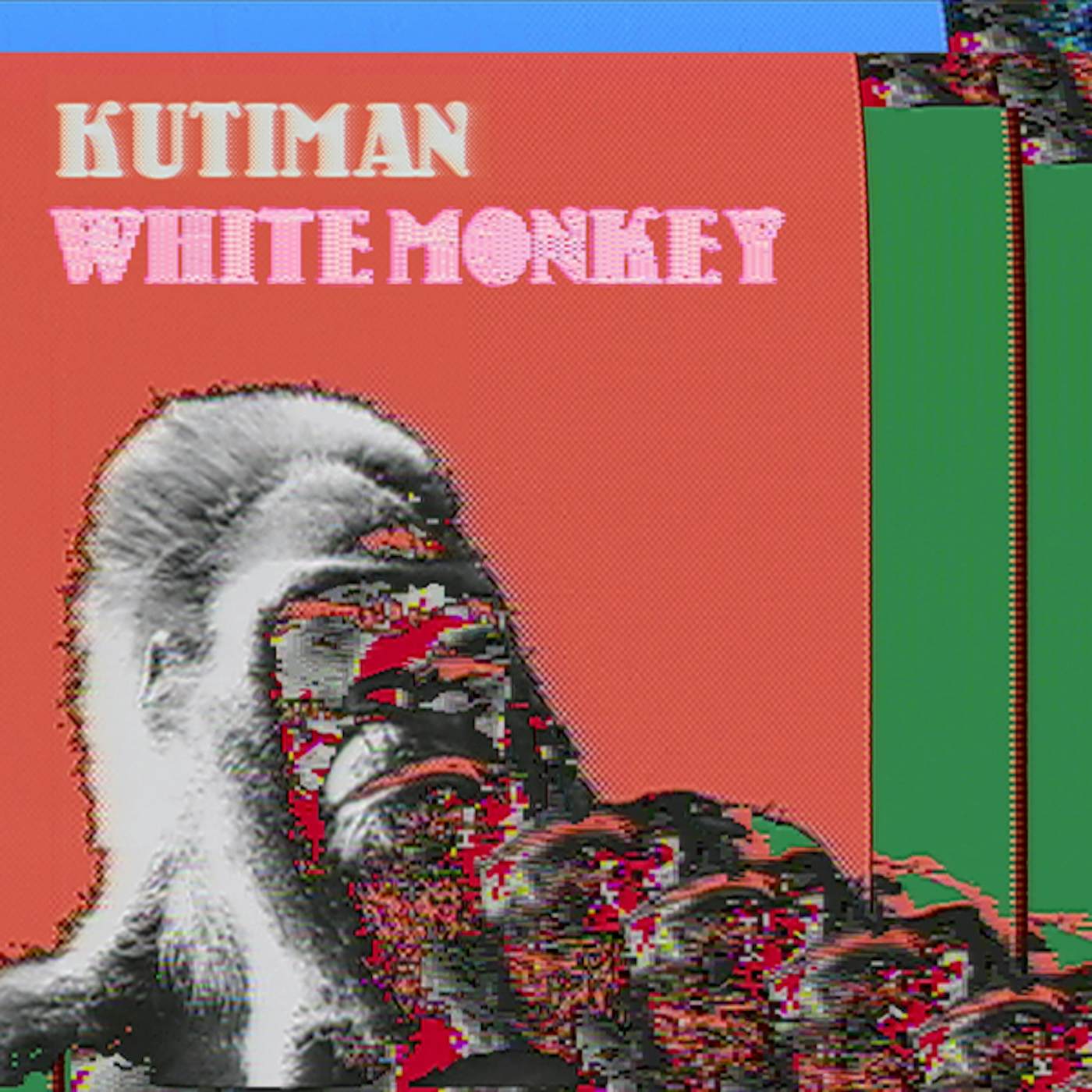 Kutiman White Monkey Vinyl Record