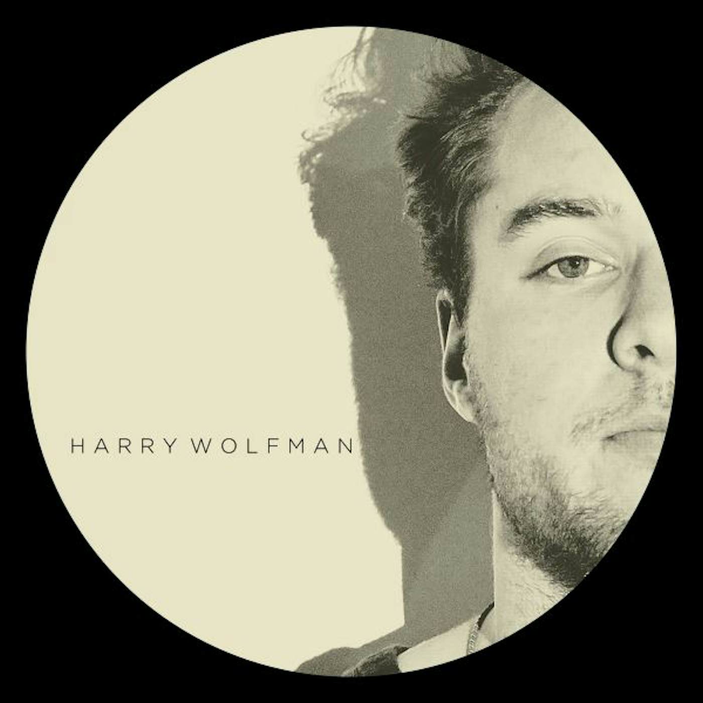 Harry Wolfman DOWNSTREAM Vinyl Record
