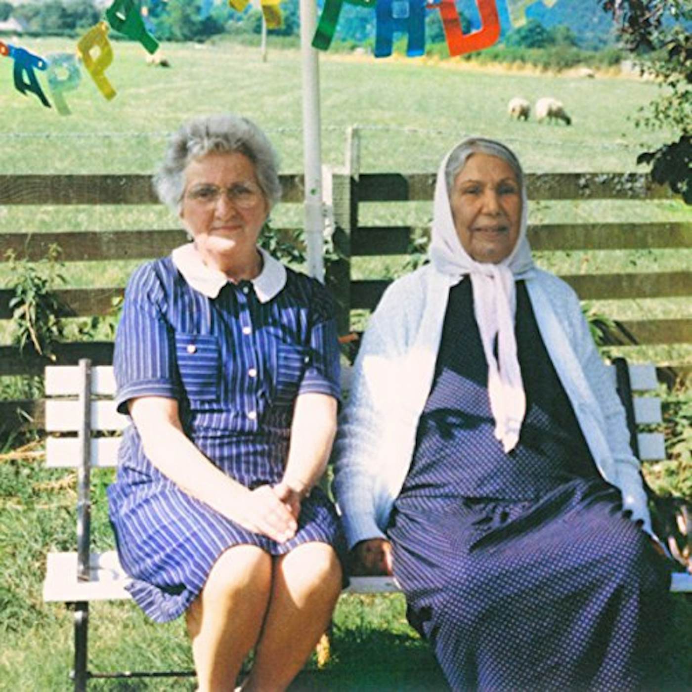 Dauwd THEORY OF COLOURS CD