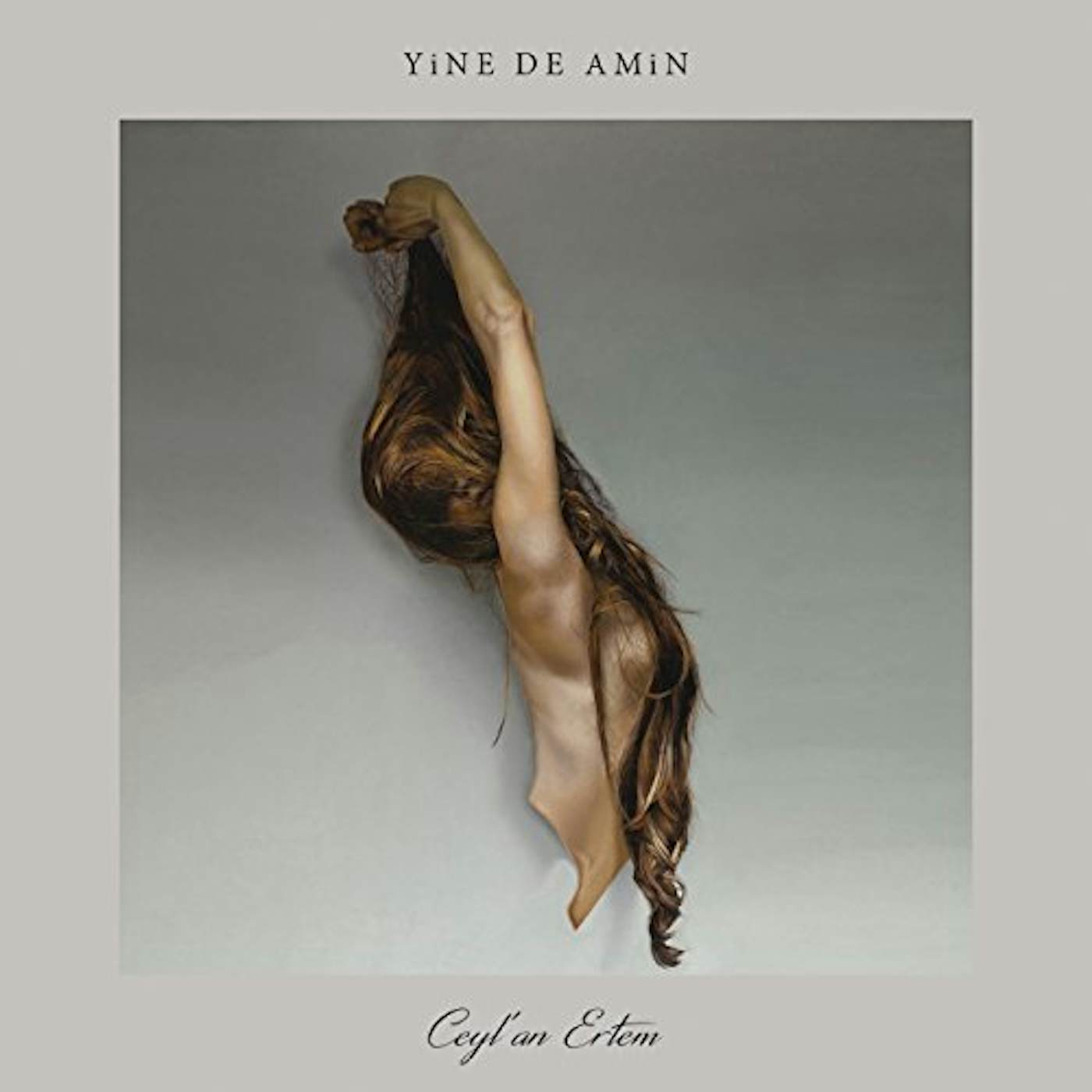 Ceyl'An Ertem Yine De Amin Vinyl Record
