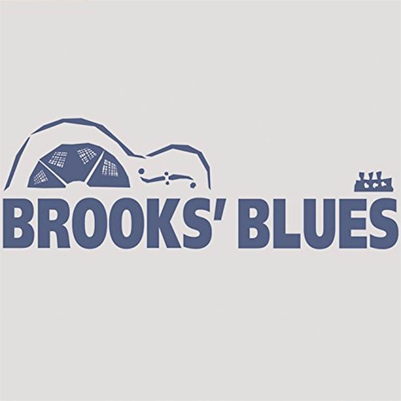 Brooks Williams BROOKS' BLUES CD