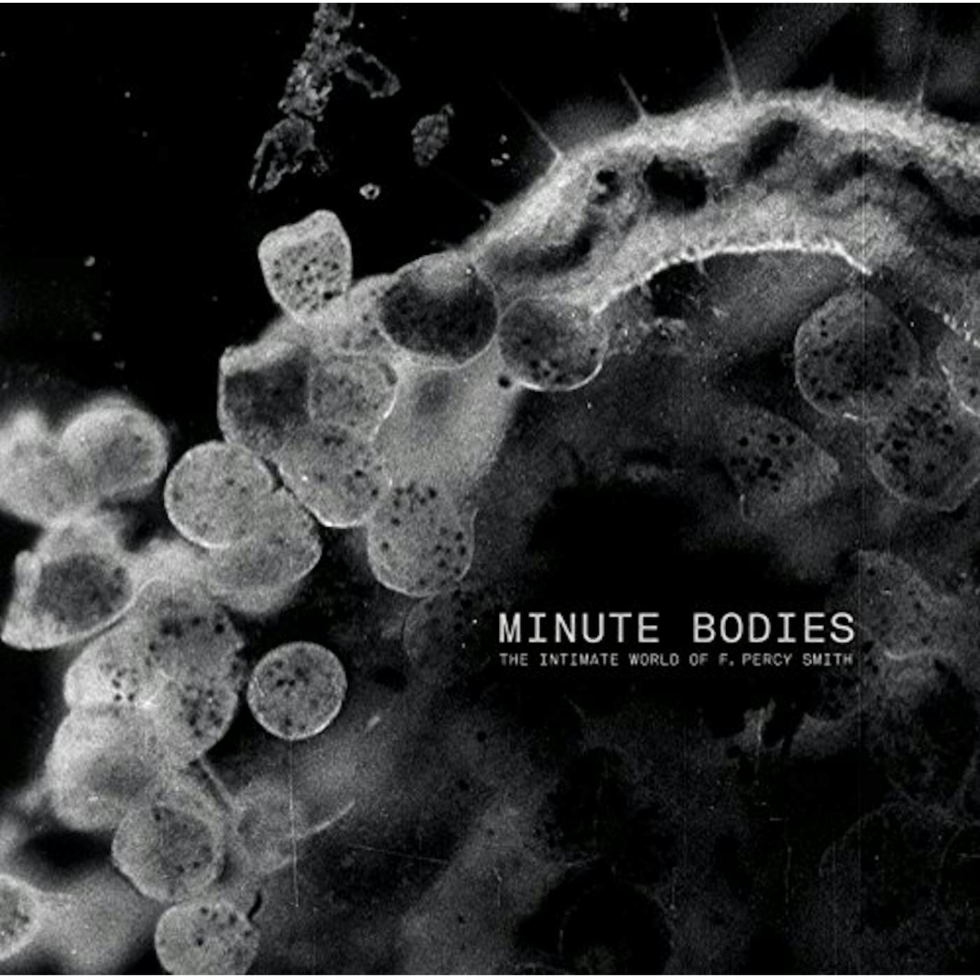 Tindersticks MINUTE BODIES: INTIMATE WORLD OF F. PERCY SMITH CD