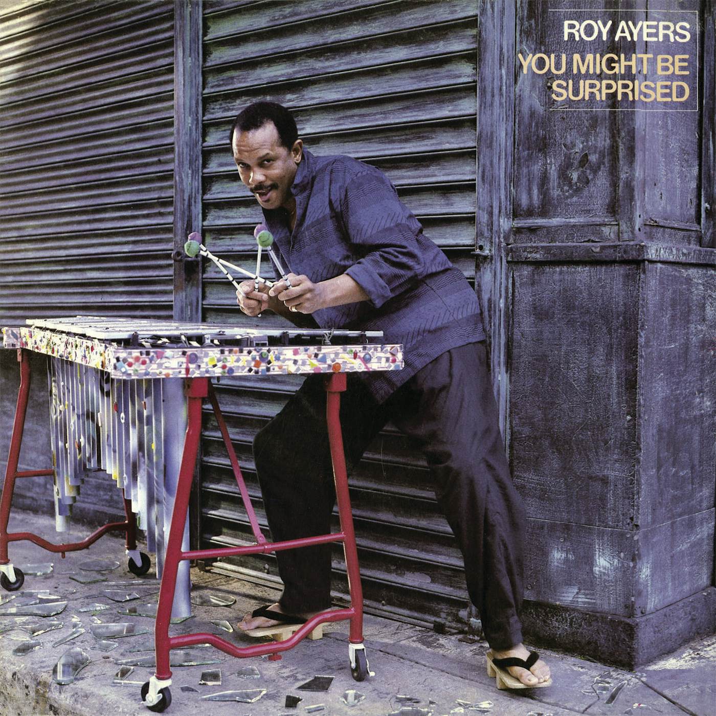 Roy Ayers YOU MIGHT BE SURPRISED (BONUS TRACKS EDITION) CD