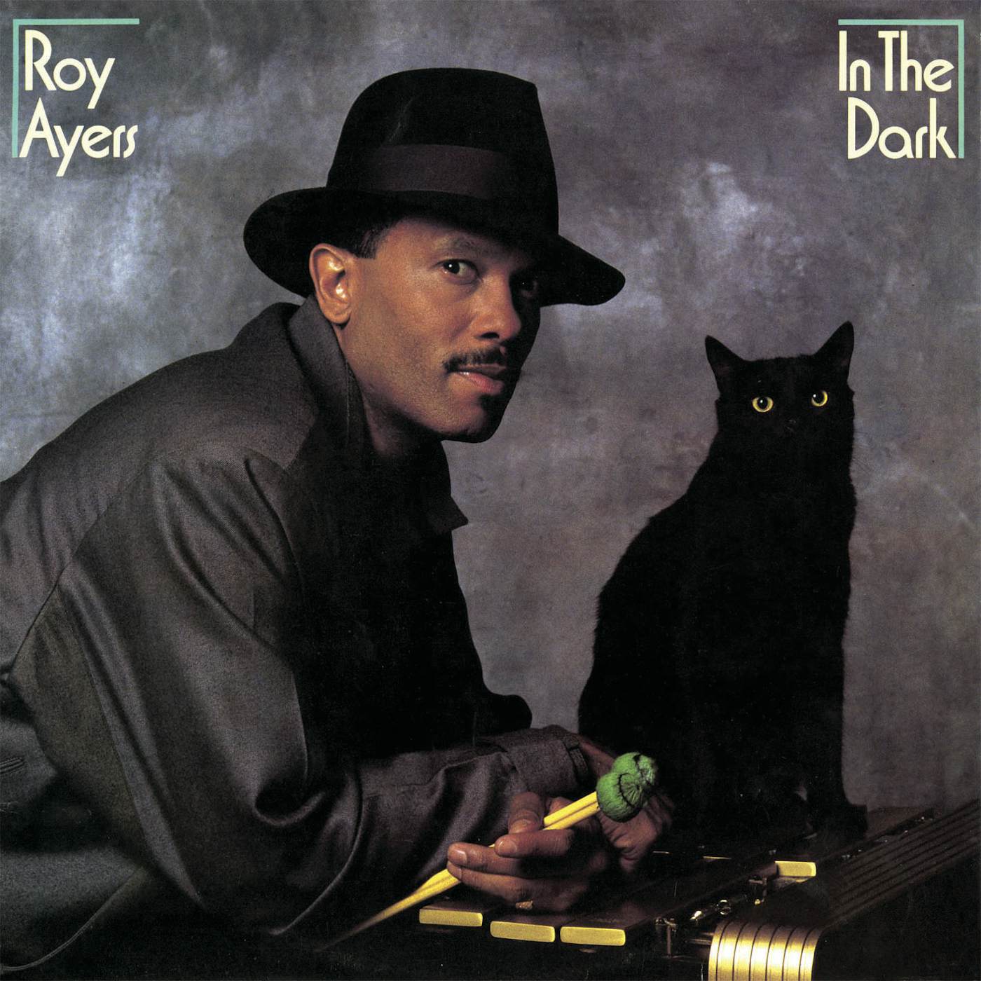 Roy Ayers IN THE DARK (BONUS TRACKS EDITION) CD