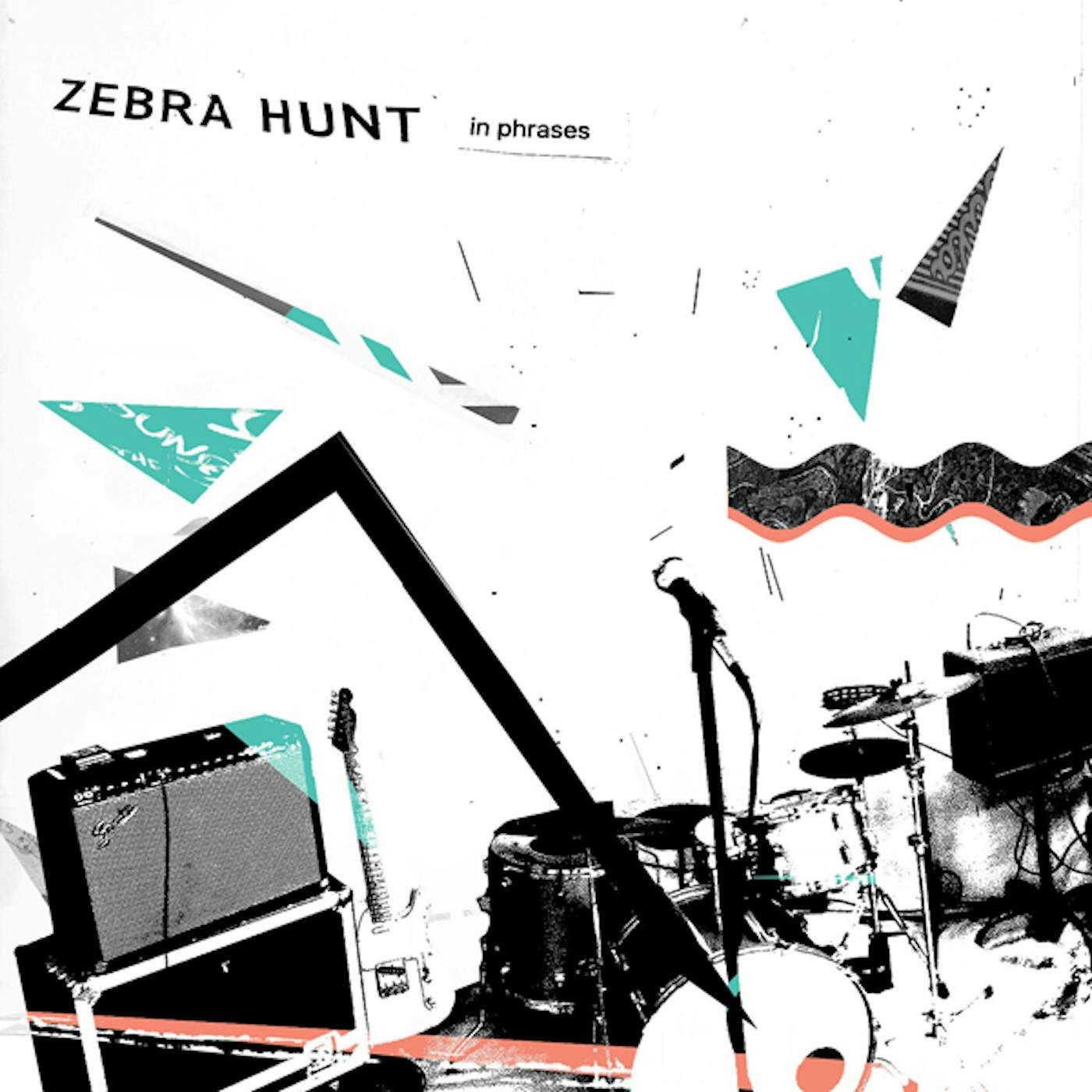 Zebra Hunt In Phrases Vinyl Record