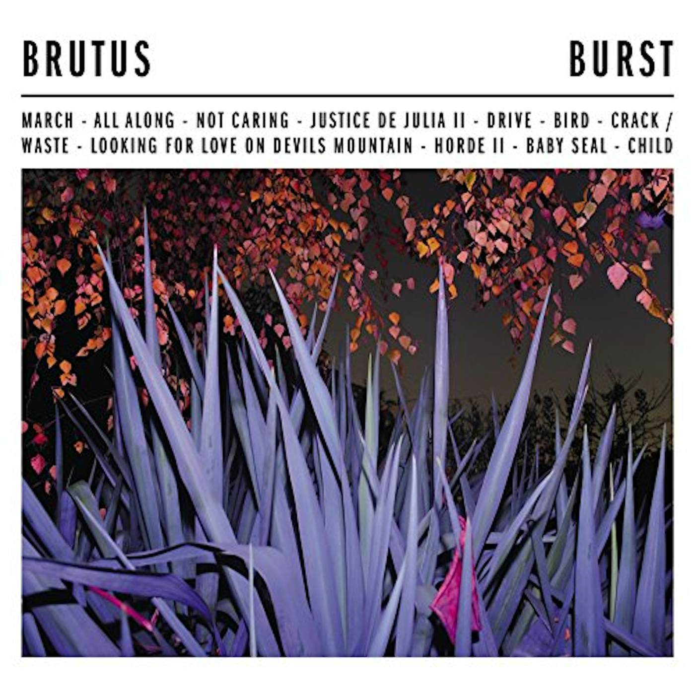 Brutus Burst Vinyl Record
