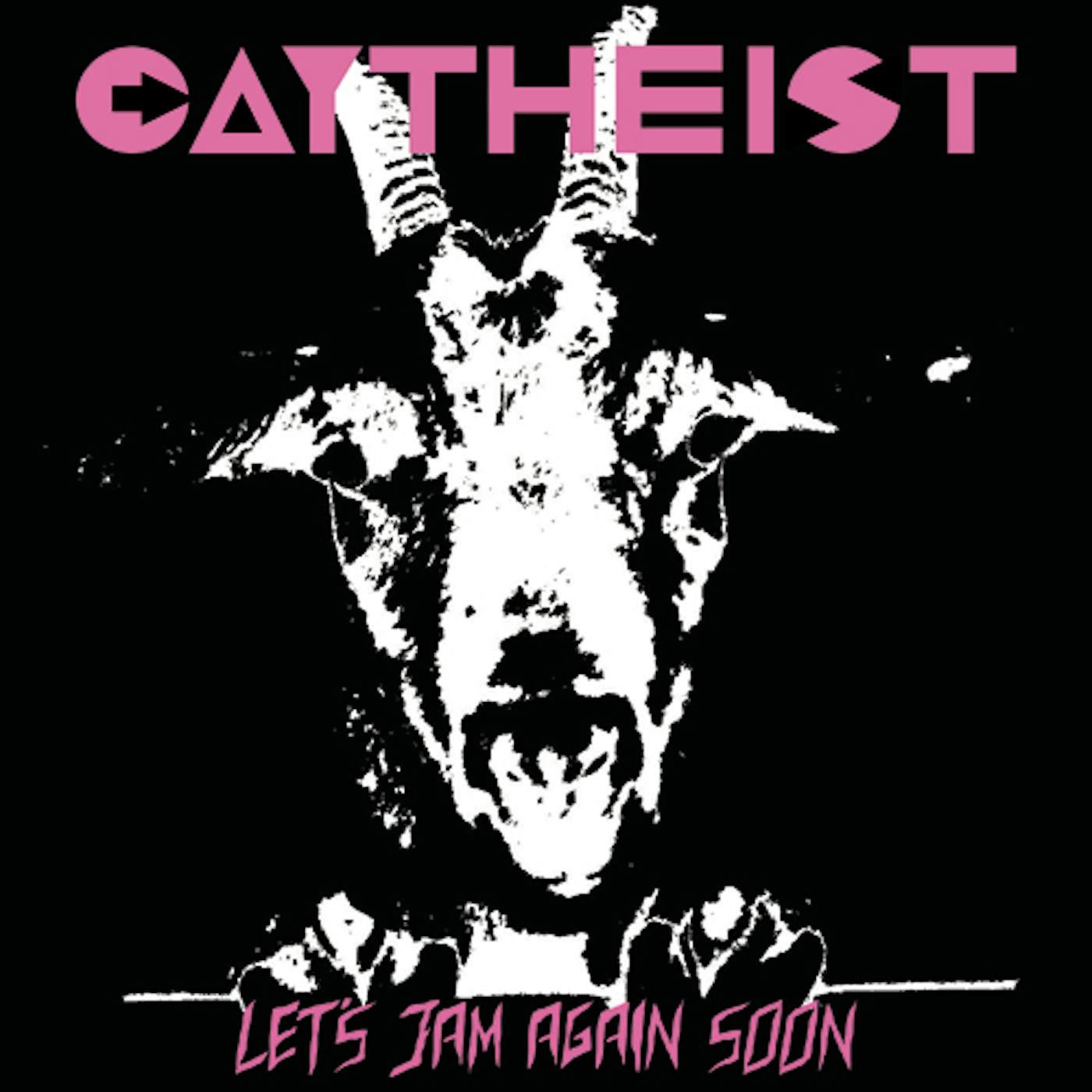 Gaytheist Let's Jam Again Soon Vinyl Record