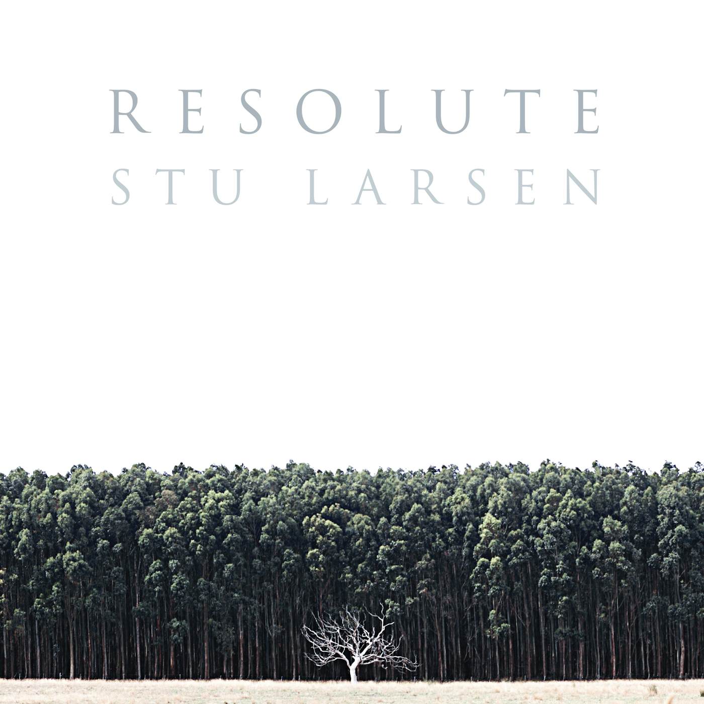 Stu Larsen Resolute Vinyl Record