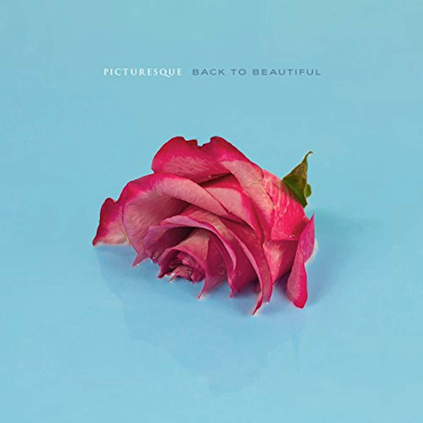 Picturesque BACK TO BEAUTIFUL CD