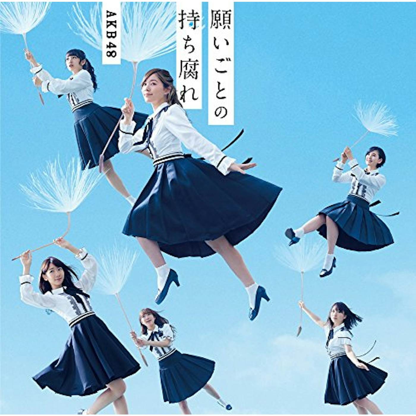 AKB48 NEGAIGOTO NO MOCHIGUSARE (TYPE B) CD