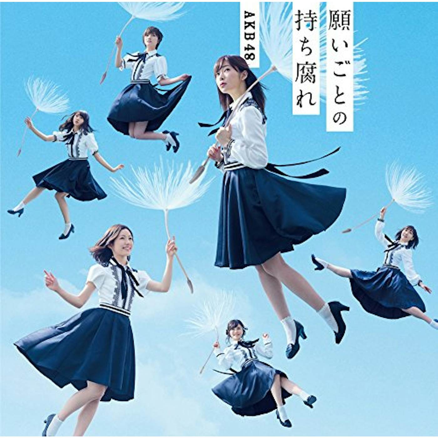 AKB48 NEGAIGOTO NO MOCHIGUSARE (TYPE C) CD