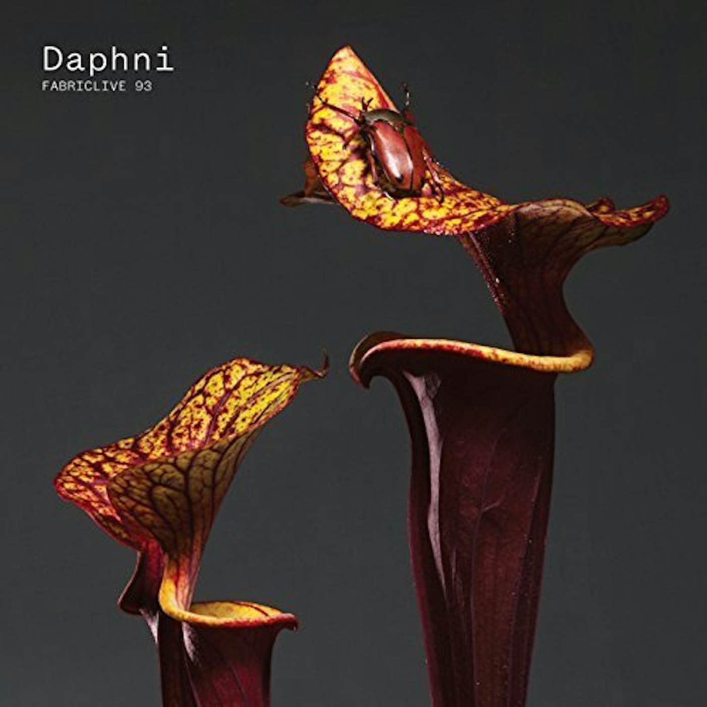 FABRICLIVE 93: DAPHNI CD